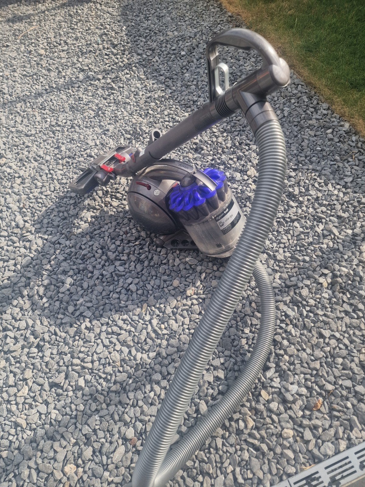Dyson ball DC37 C allergy, Elektronische apparatuur, Stofzuigers, Ophalen, Zo goed als nieuw, Steelstofzuiger, Dyson