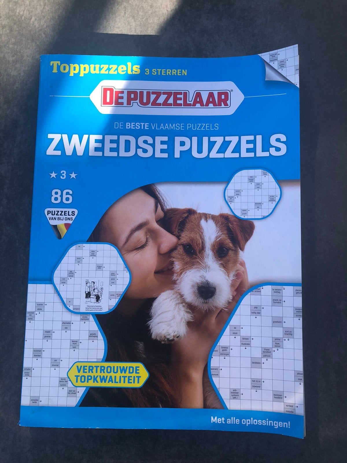 Nieuw puzzelboek Zweedse puzzels, Hobby en Vrije tijd, Denksport en Puzzels, Ophalen, Nieuw, Puzzelboek