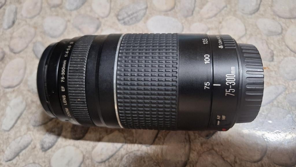 Canon EF 75-300 mm