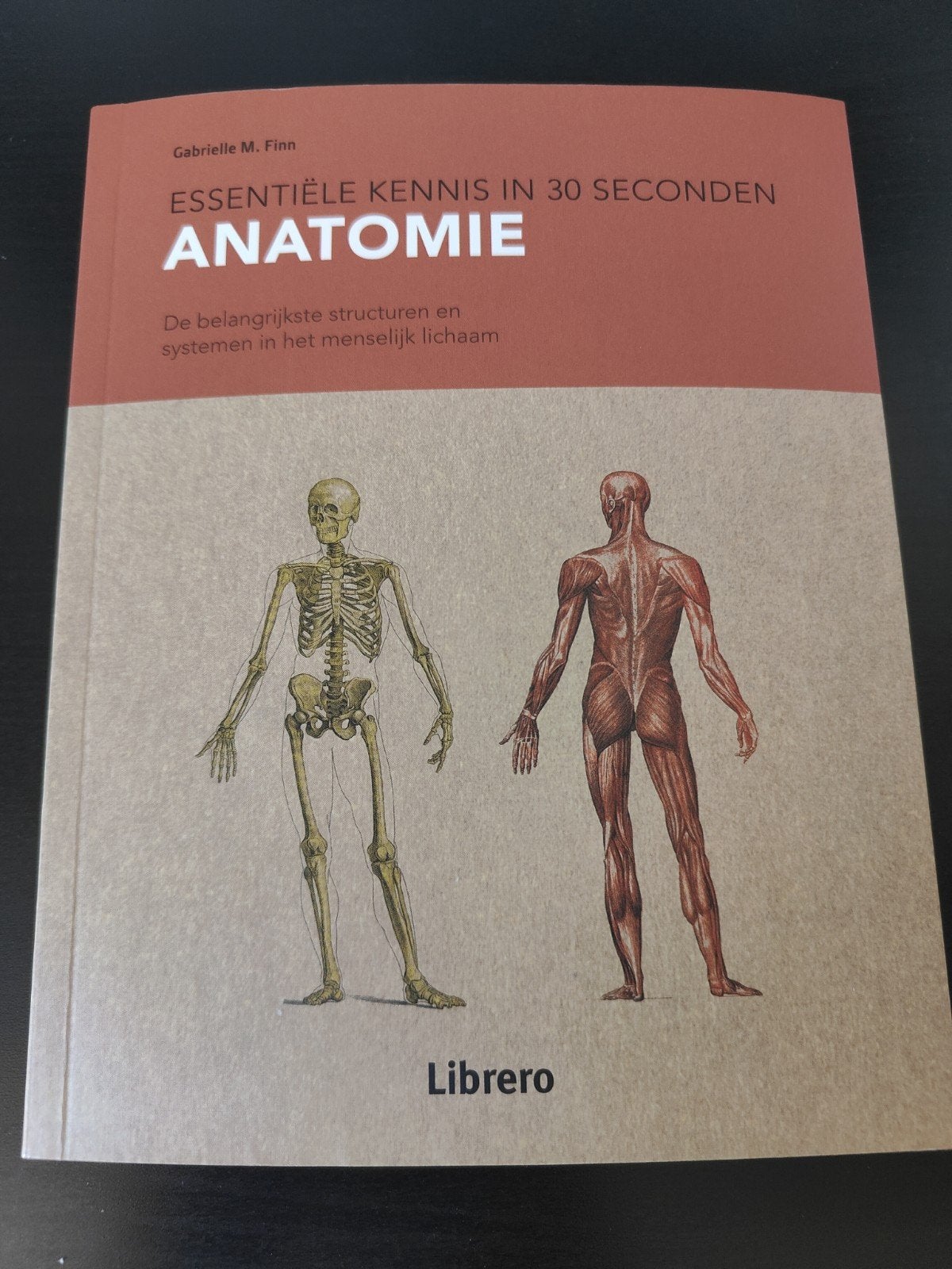 Gabrielle M. Finn - Anatomie, Livres, Enlèvement ou Envoi, Gabrielle M. Finn