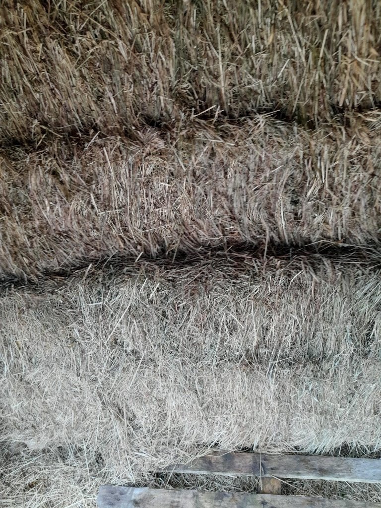 hooi 2026, kleine balen ongev 20 kg  en stro, kleine balen, Ophalen, Nieuw, Overige disciplines