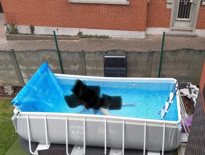 Zwembad, Ophalen, Gebruikt, 200 tot 300 cm, 80 tot 120 cm
