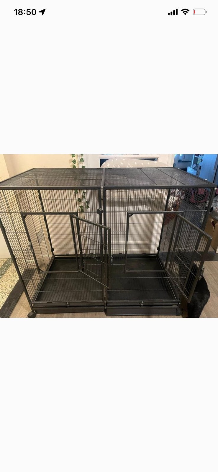 Très grande cage pour oiseaux ou rongeurs, Animaux & Accessoires, Maisons pour chiens, Comme neuf, 65 à 100 cm, 110 cm ou plus