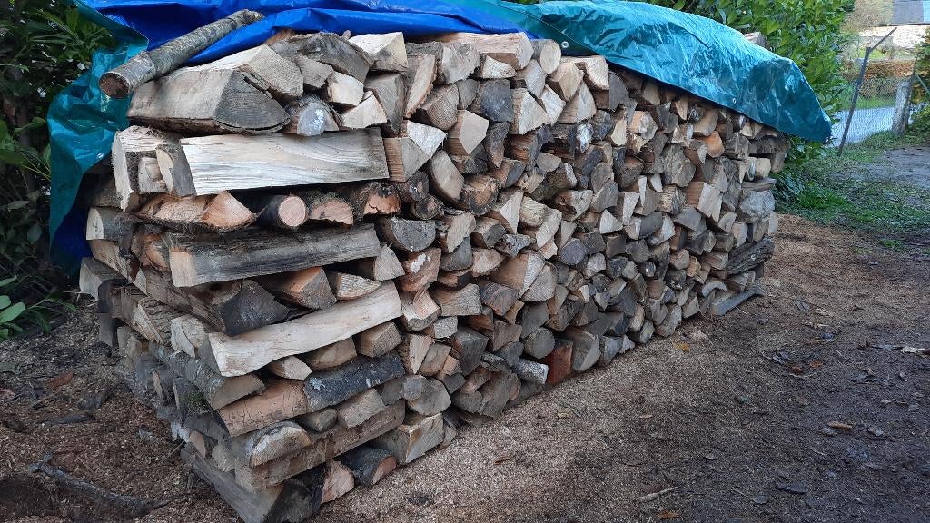 Bois de chauffage  1ere qualité Frêne 50 cm, 3 à 6 m³, Enlèvement, Frêne, Bûches