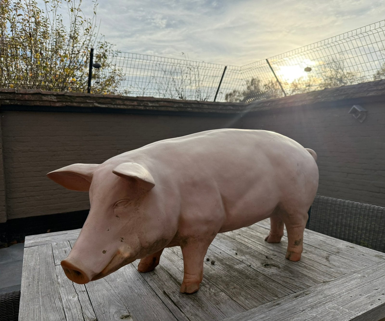 Mooi VARKEN, vermoedelijk beenhouwerij reclame  ?, Ophalen, Gebruikt, Overige typen