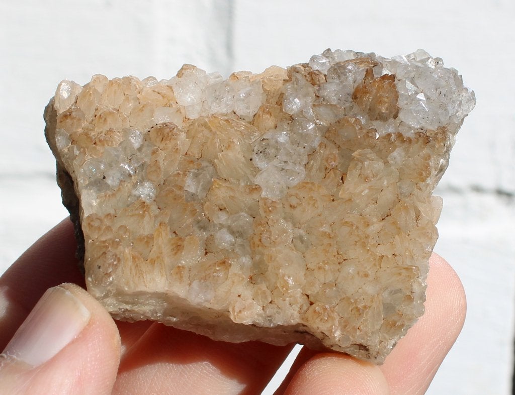 CALCIET uit de steengroeve van BEEZ in BELGIE, Ophalen of Verzenden, Mineraal
