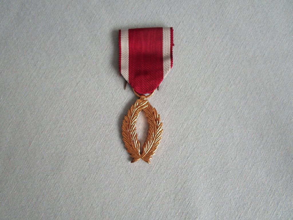 militair, Belgische medaille, Verzamelen, Ophalen, Overige soorten, Lintje, Medaille of Wings