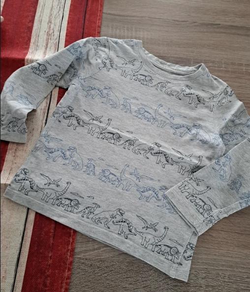 C&A grijze longsleeve met dino's 98, C&A, Ophalen of Verzenden, Zo goed als nieuw, Shirt of Longsleeve