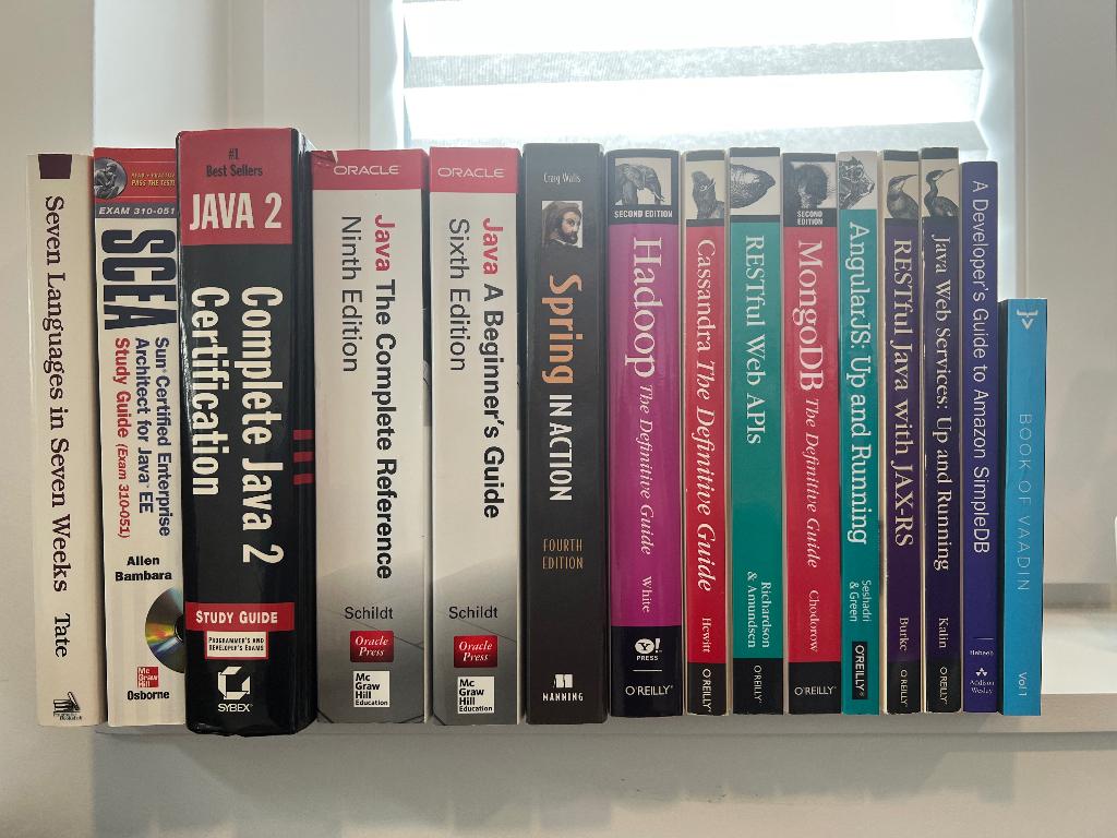 Gratis programmeerboeken / IT-boeken, Livres, Langage de programmation ou Théorie, Diverse auteurs, Comme neuf, Enlèvement