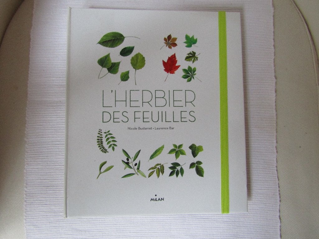 Livre découverte "Herbier des feuilles", Neuf, Enlèvement ou Envoi, Nicole Bustarret, Sciences naturelles