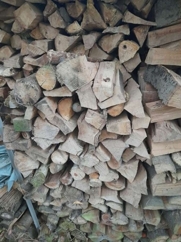 Brandhout te koop, Moins de 3 m³, Enlèvement, Chêne, Bûches