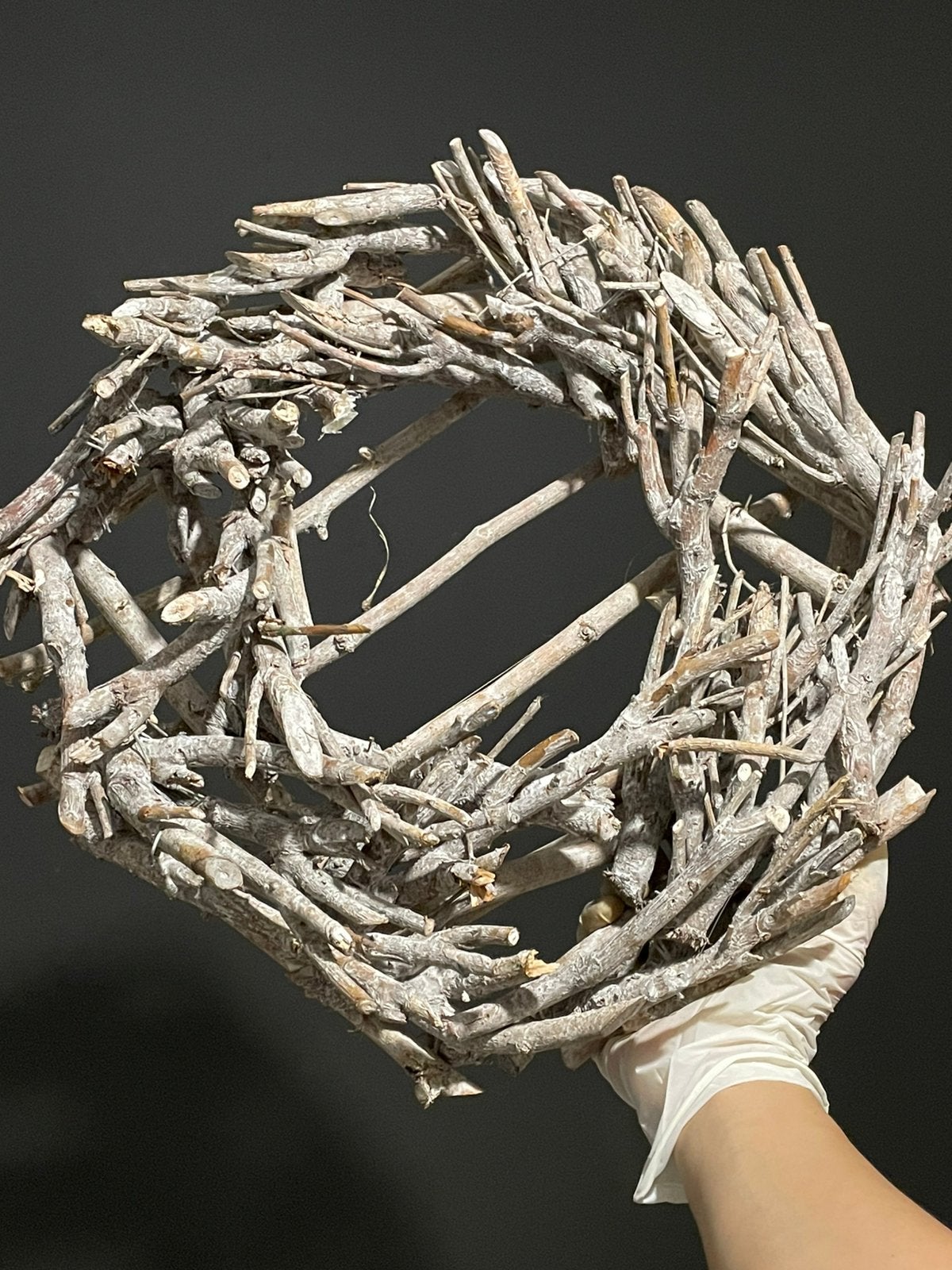 Couronne de bonsaï sauvage, Maison & Meubles, Enlèvement ou Envoi, Comme neuf, Couronne