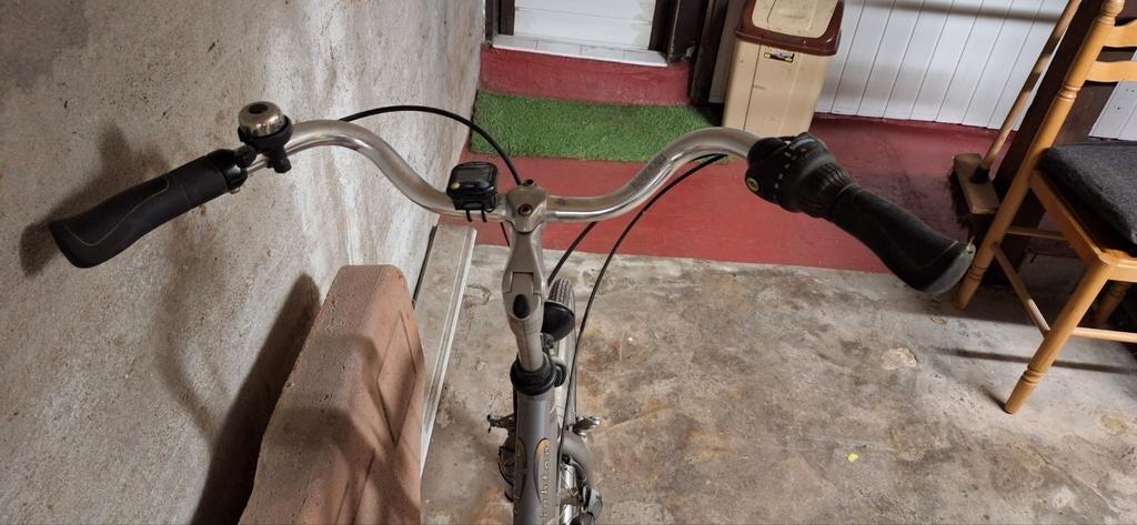Damesfiets Oxford, Fietsen en Brommers, Ophalen
