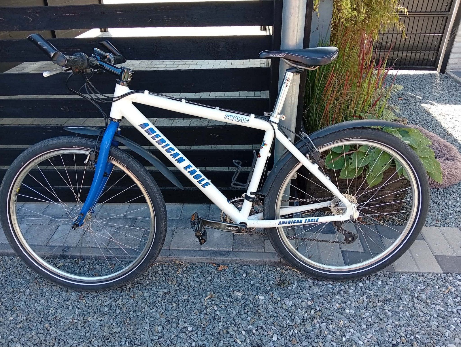 mountainbike american Eagle oldschool, Fietsen en Brommers, Ophalen