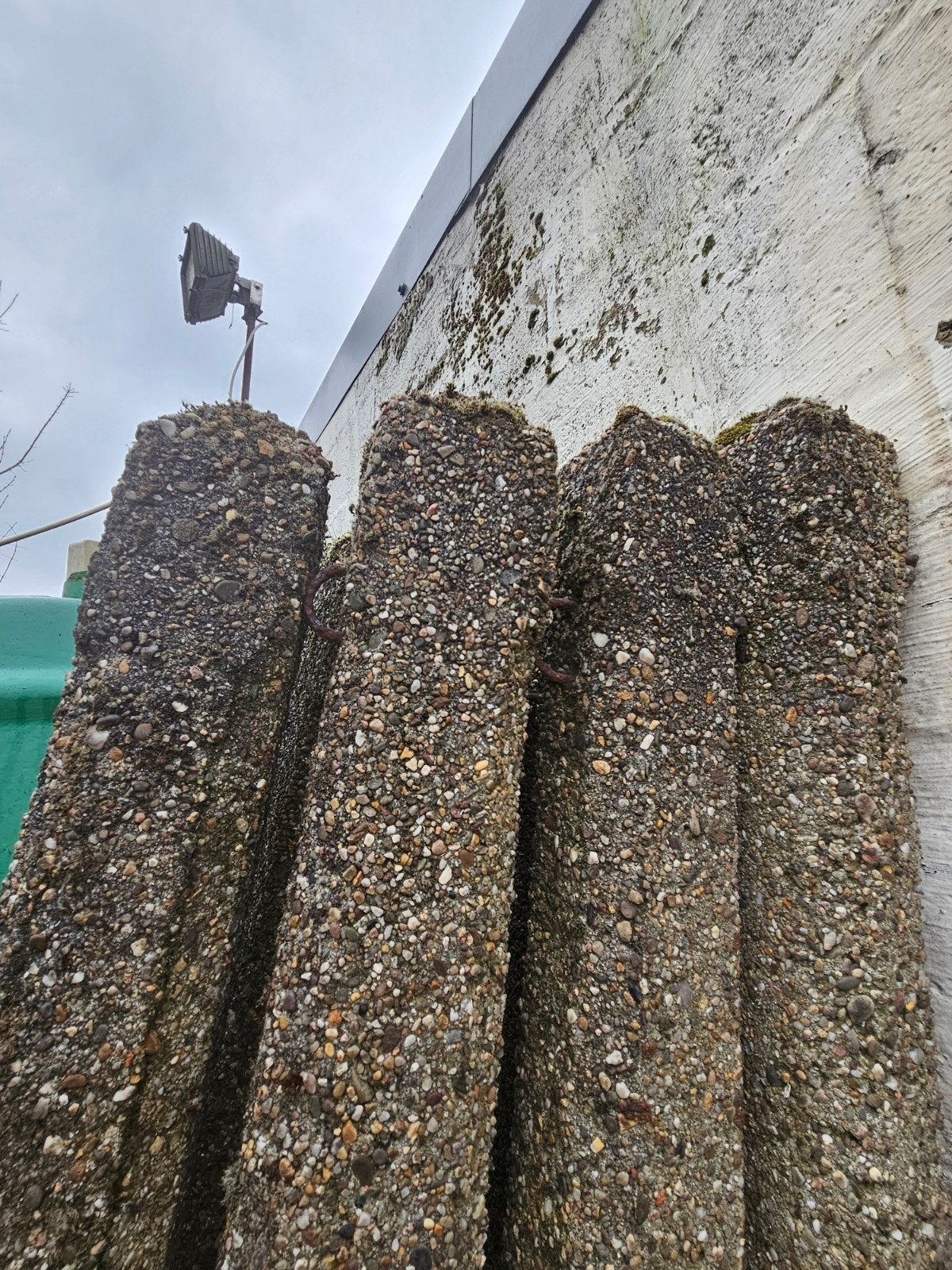 Betonnen tuinpalen, Enlèvement, Utilisé, 180 à 250 cm, Poteaux