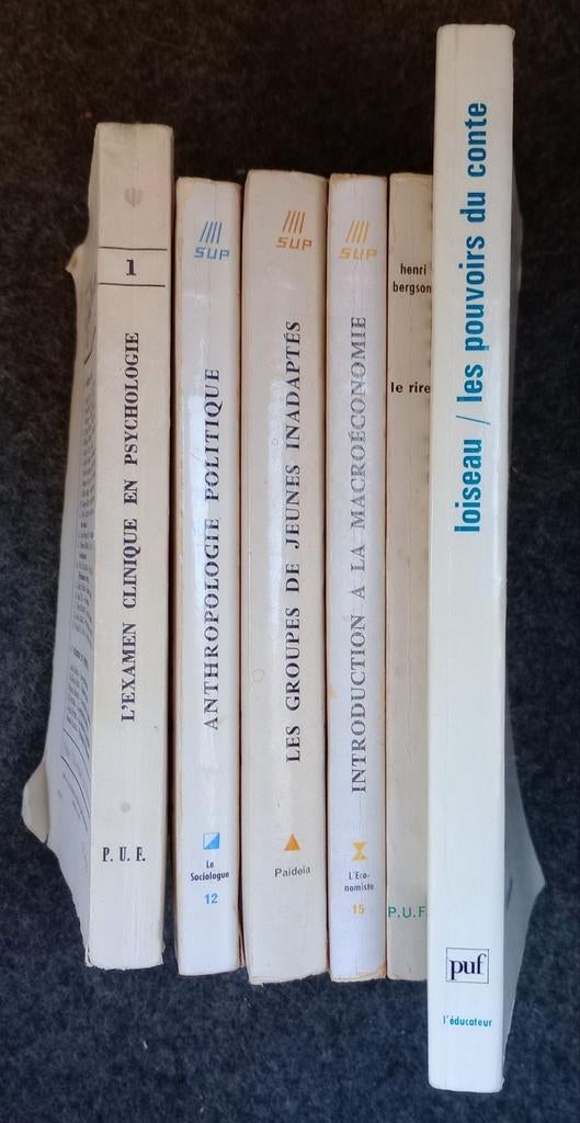 PUF 6 Essays 6 SUP, Boeken, Encyclopedieën, Ophalen of Verzenden, Zo goed als nieuw, Los deel, Algemeen