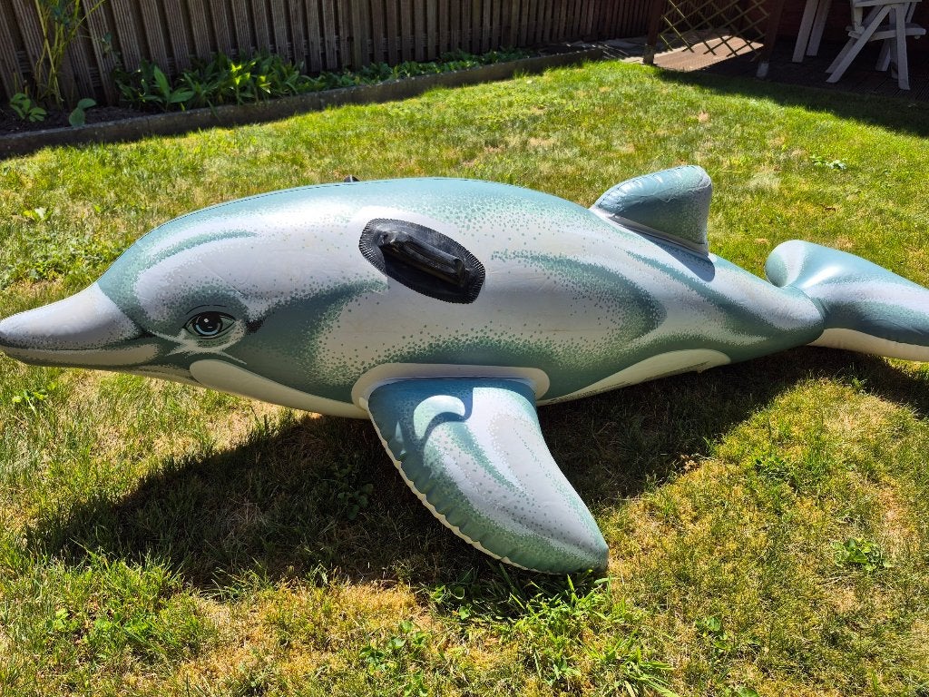 Bouée à poignées : Grand requin, Enlèvement ou Envoi, Comme neuf