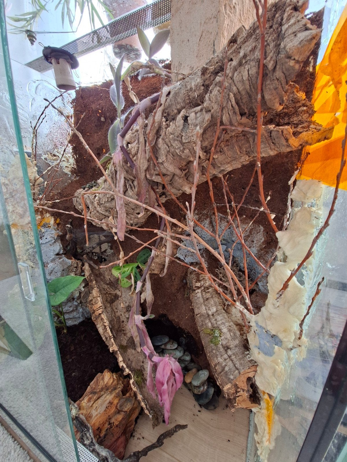 Bioactive terrarium met waterval, Dieren en Toebehoren, Ophalen, Terrarium of Paludarium