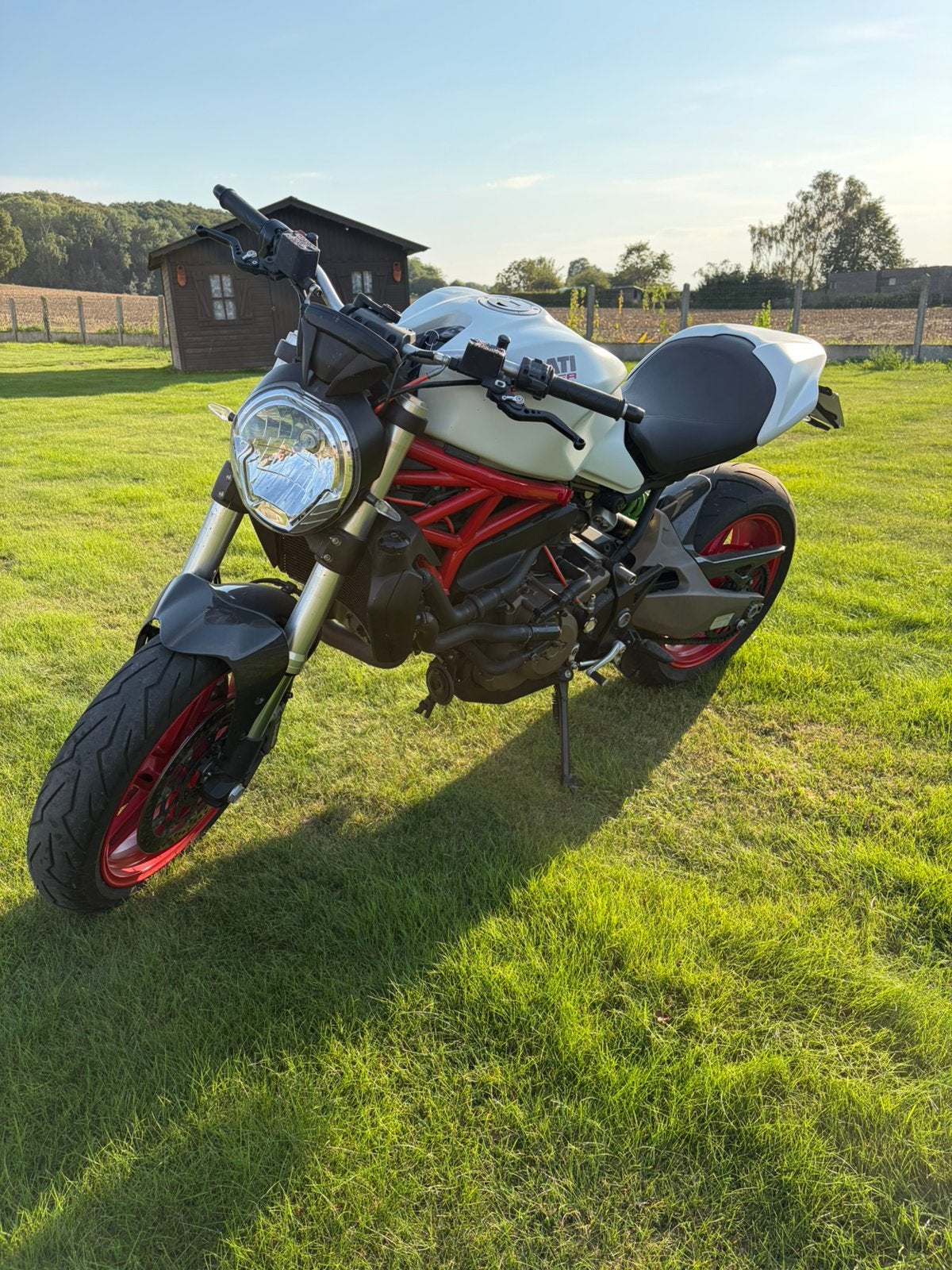 Ducati Monster 821 – 2014 – 6.300 km, Motoren, 2 cilinders, Motorrijbewijs A, Gebruikt, Meer dan 35 kW