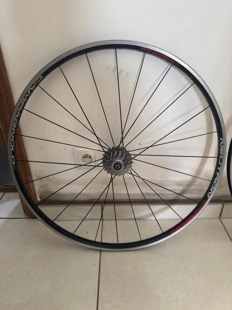 Roue campagnolo neutron carbone, Enlèvement, Comme neuf, Roue, Carbone