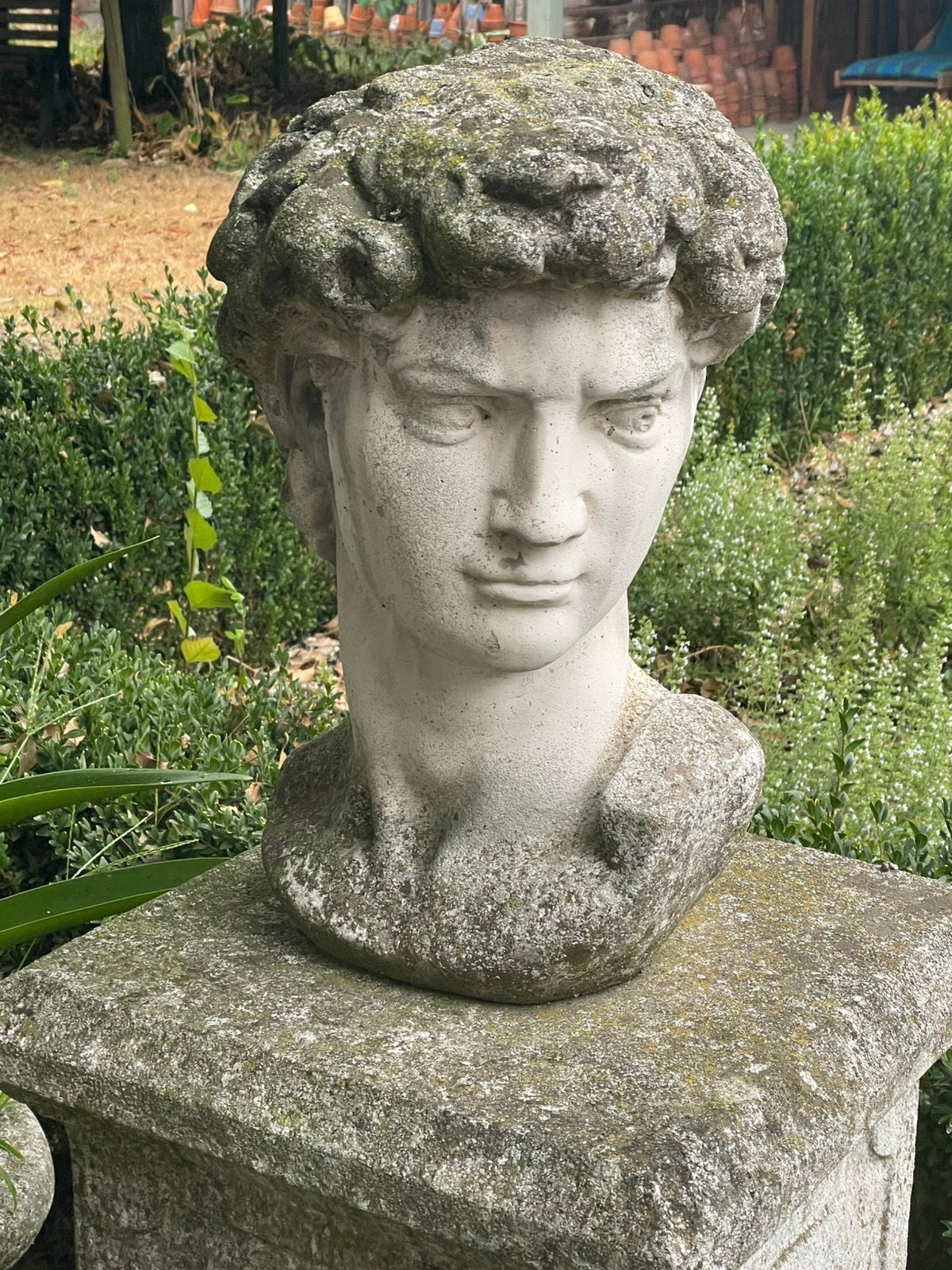Tuinbeeld - kop van David, Enlèvement, Utilisé, Pierre, Homme