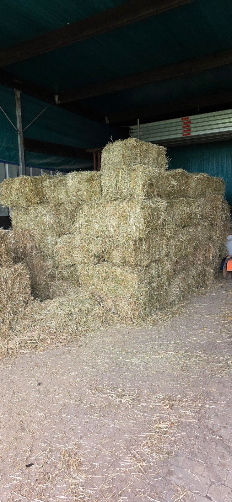 Kleine balen hooi, Dieren en Toebehoren, Dierenvoeding, Ophalen of Verzenden