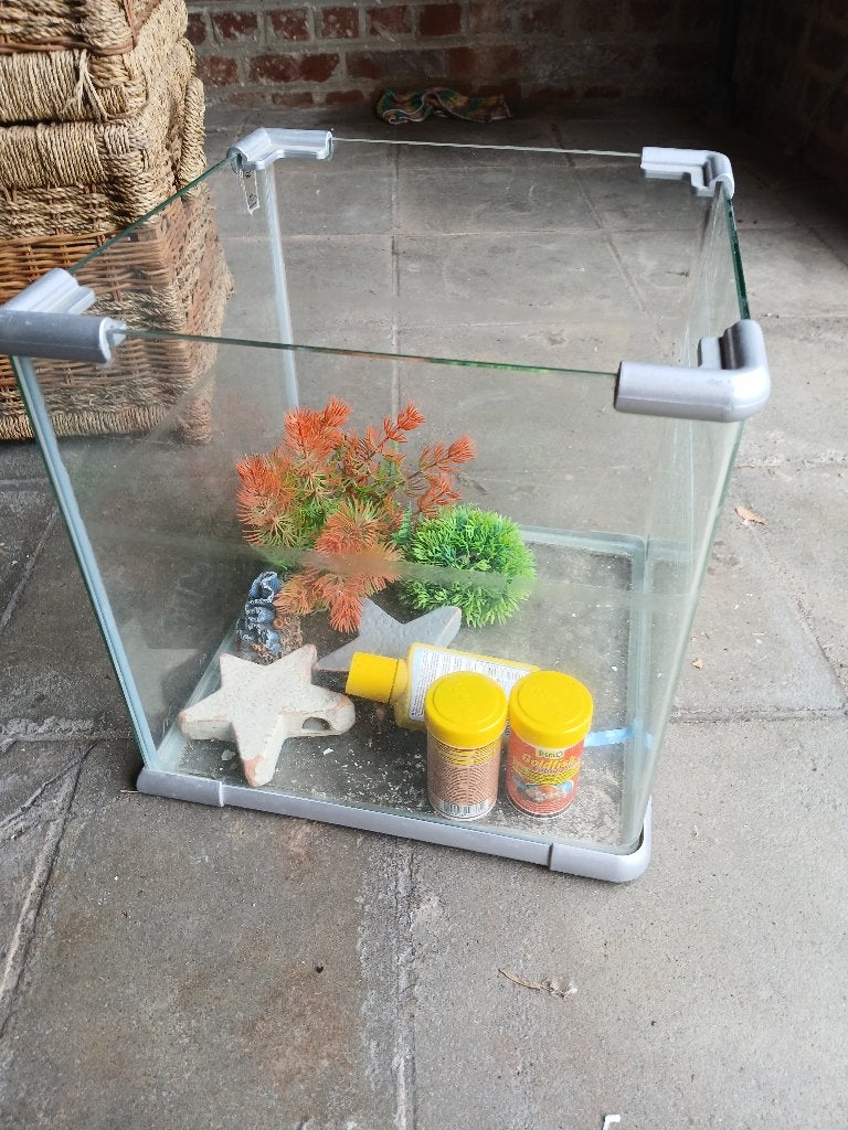 Aquarium, Animaux & Accessoires, Plantes incluses, Aquarium vide, Enlèvement, Utilisé