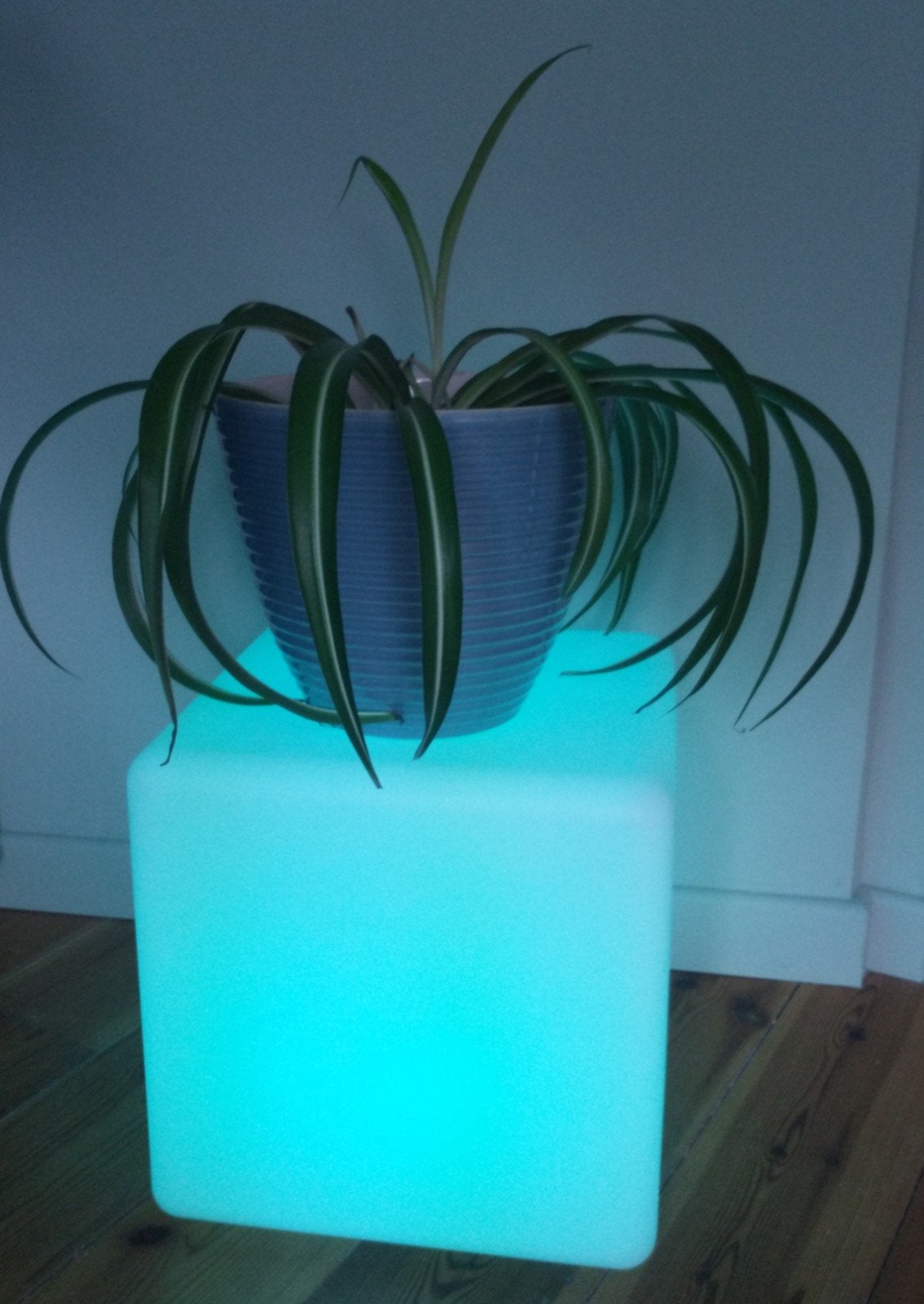 Magic LED Cube, Enlèvement