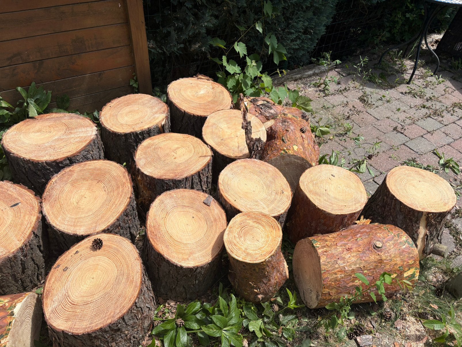 Rondins et bûches de bois (pin Sylvestre) à donner sprimont, Jardin & Terrasse, Enlèvement, Troncs d'arbres