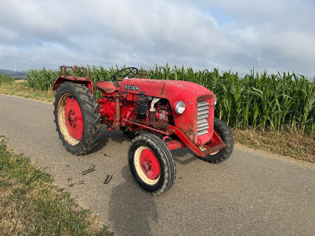 Bucher D1800 Oldtimer, Articles professionnels, Autres marques, Jusqu'à 2500, Jusqu'à 80 ch, Enlèvement
