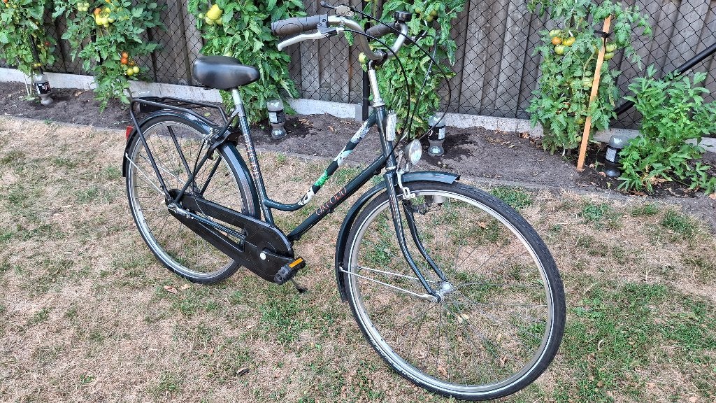 BETROUWBARE goede propere OXFORD 3v damesfiets ALLES IN ORDE, Ophalen, Velgrem, Versnellingen, 53 tot 56 cm