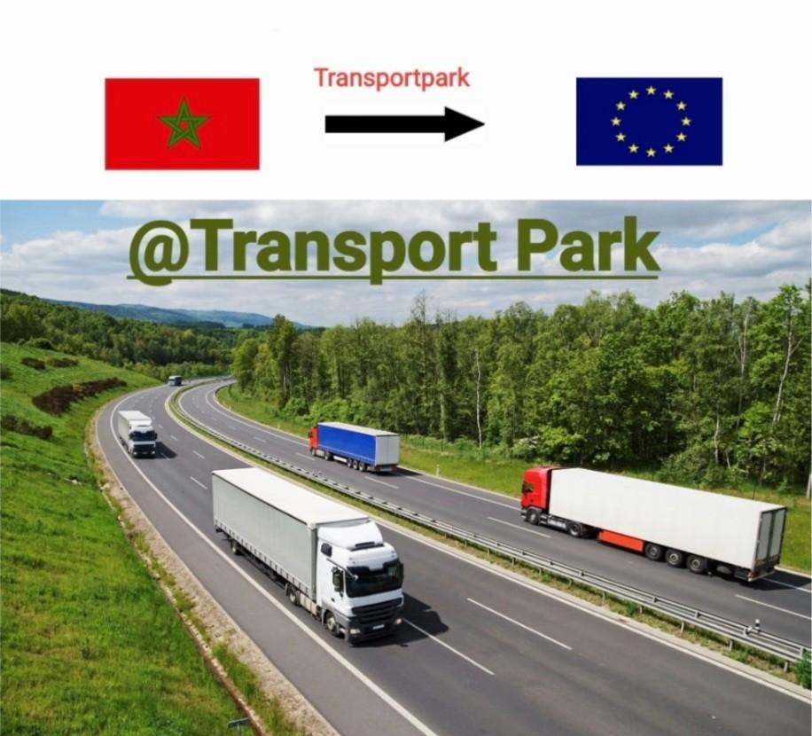 Déménagement au Maroc ou en Europe., Livres, Enlèvement
