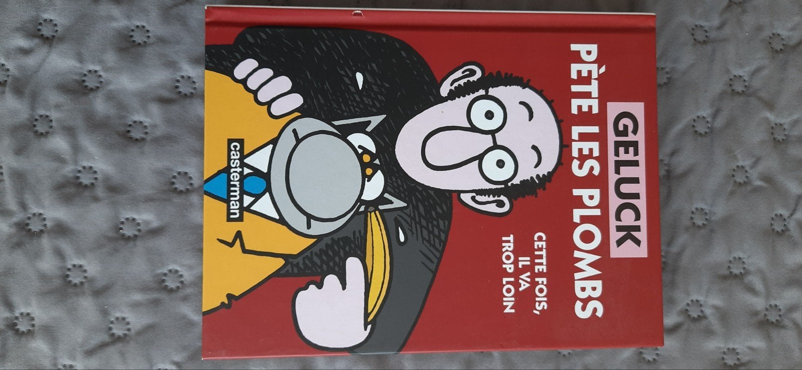 2 livres « Le chat » de Philippe Geluck (français), Enlèvement, Comme neuf, Philippe Geluck