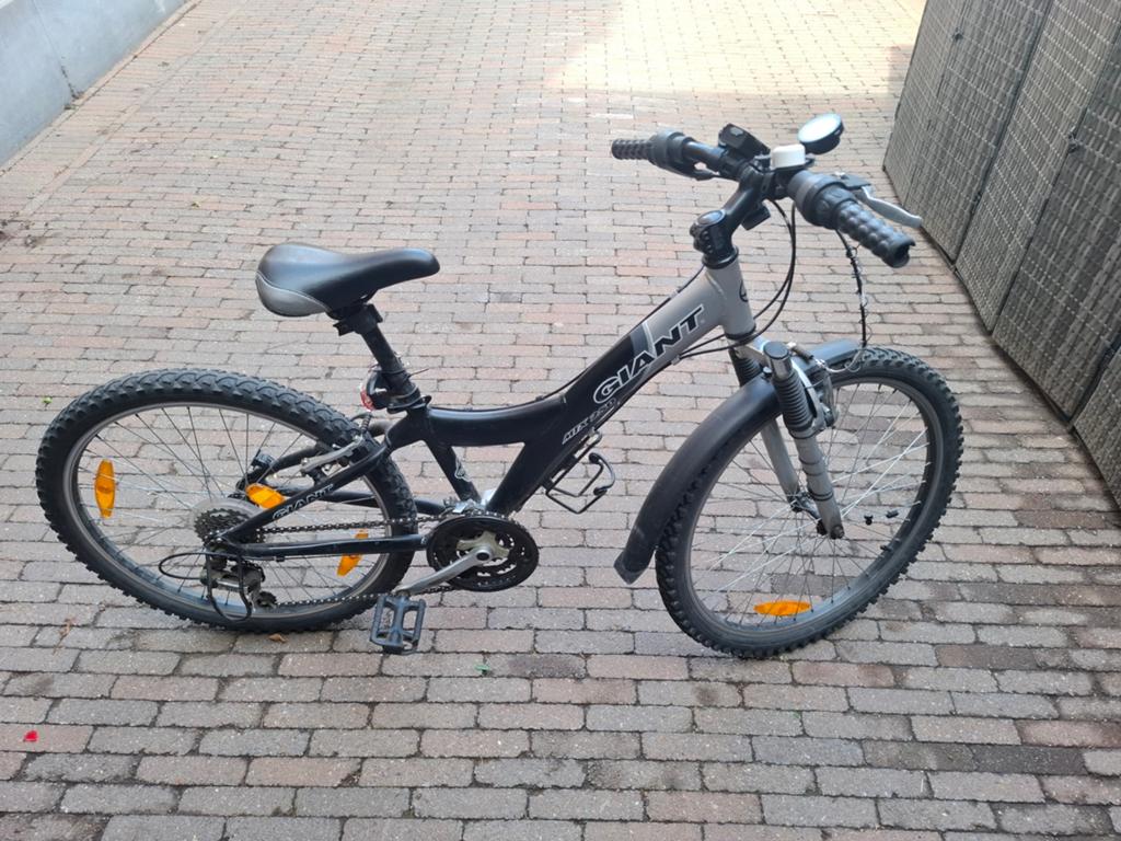 Giant mtb 24 inch, Ophalen, Giant