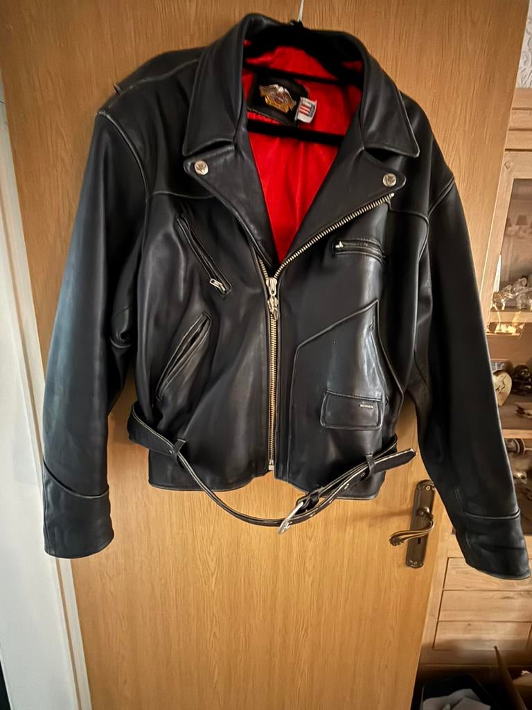 Motorjas Harley Davidson XXL, Enlèvement