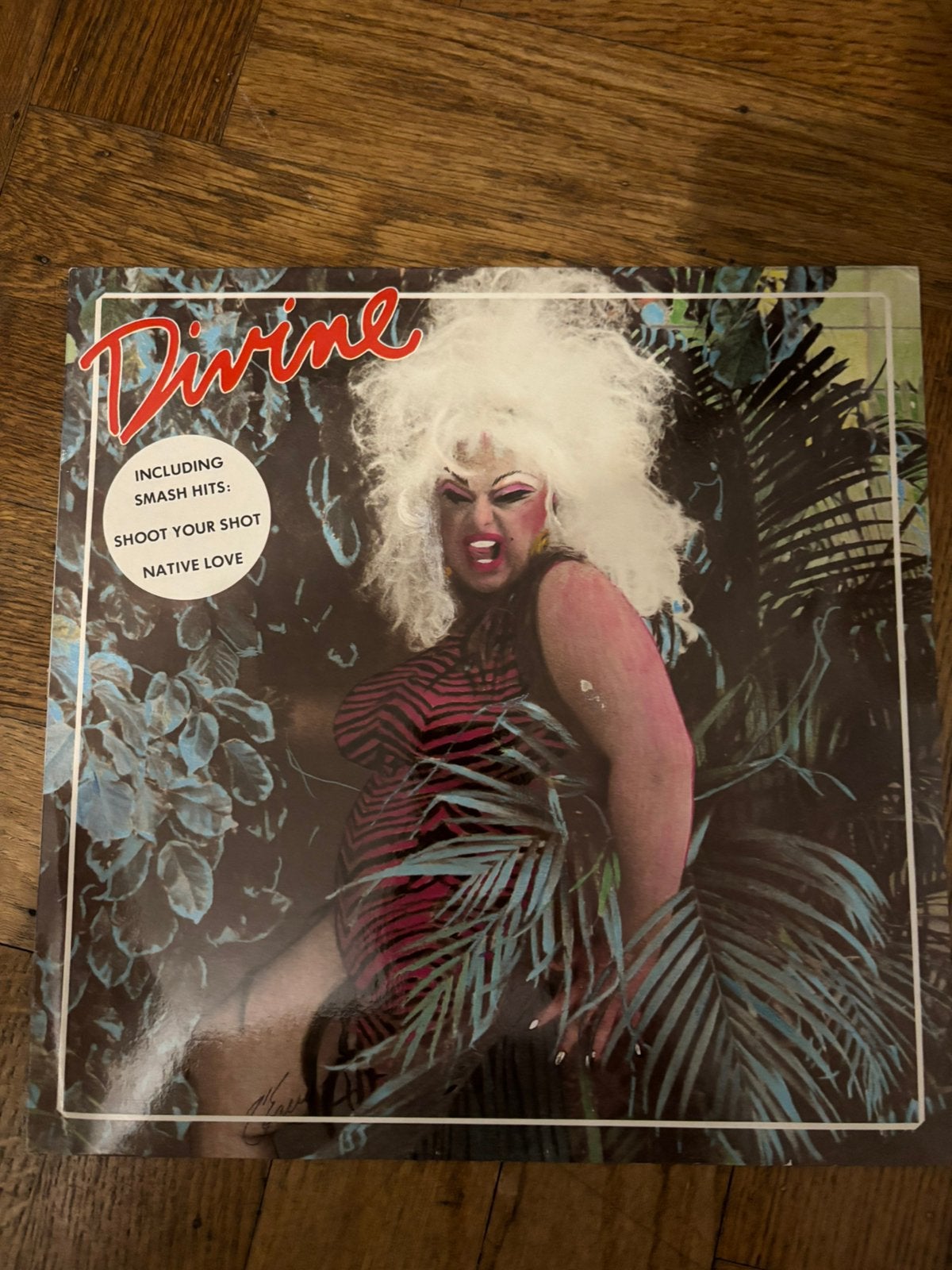 Divine - Mijn eerste album, LP, Gebruikt, Dance, Ophalen of Verzenden
