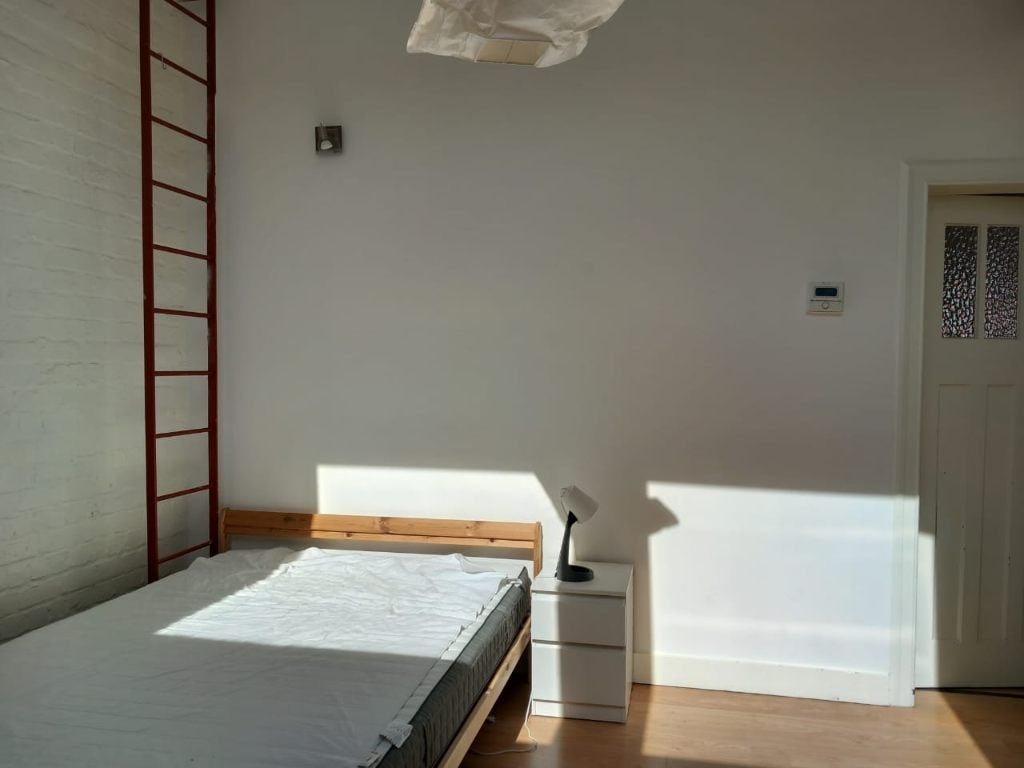 Colocation 100% feminine, Immo