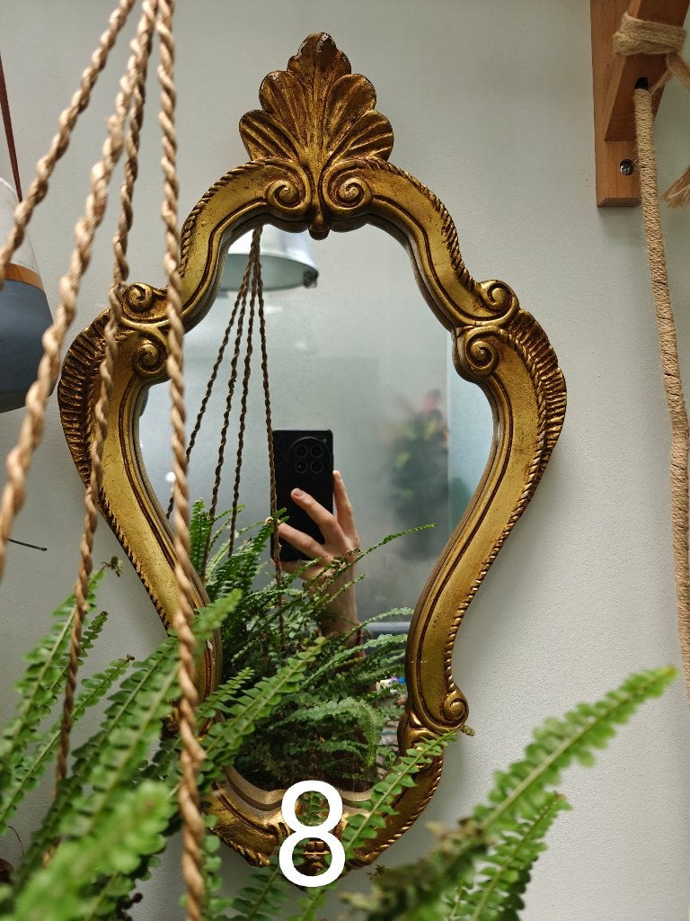 Gouden Spiegel, Ophalen