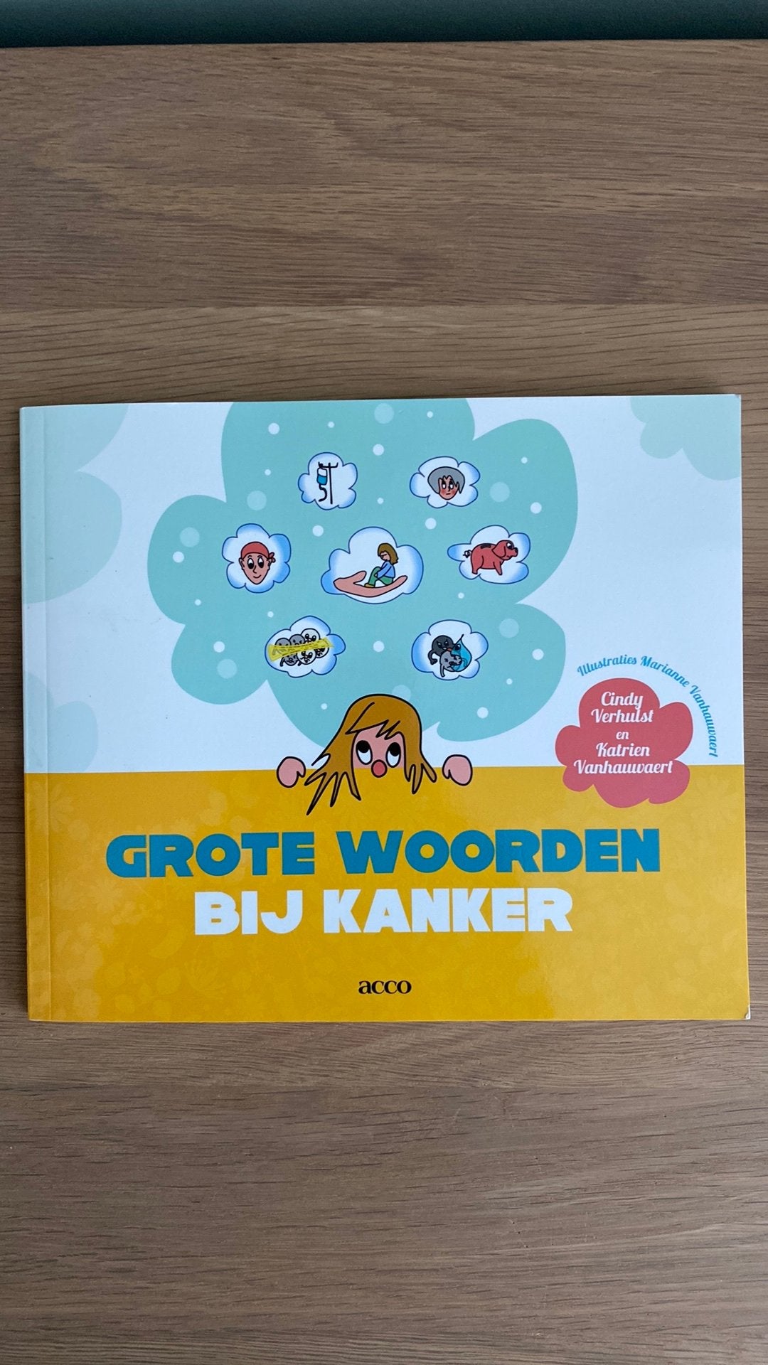 Cindy Verhulst - Grote woorden bij kanker, Ophalen of Verzenden, Nieuw, Cindy Verhulst; Katrien Vanhauwaert