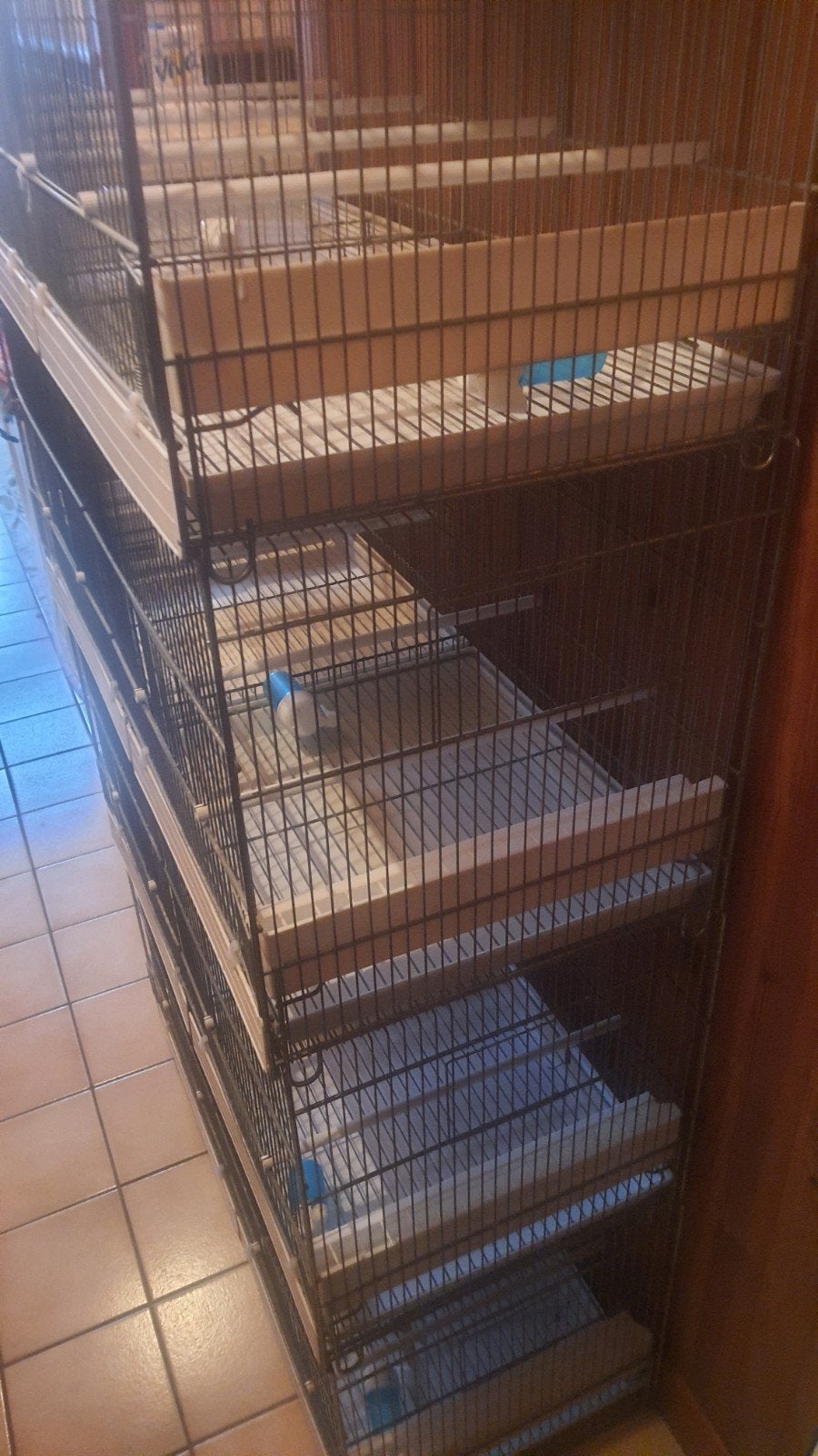 cage elevage, Animaux & Accessoires, Enlèvement