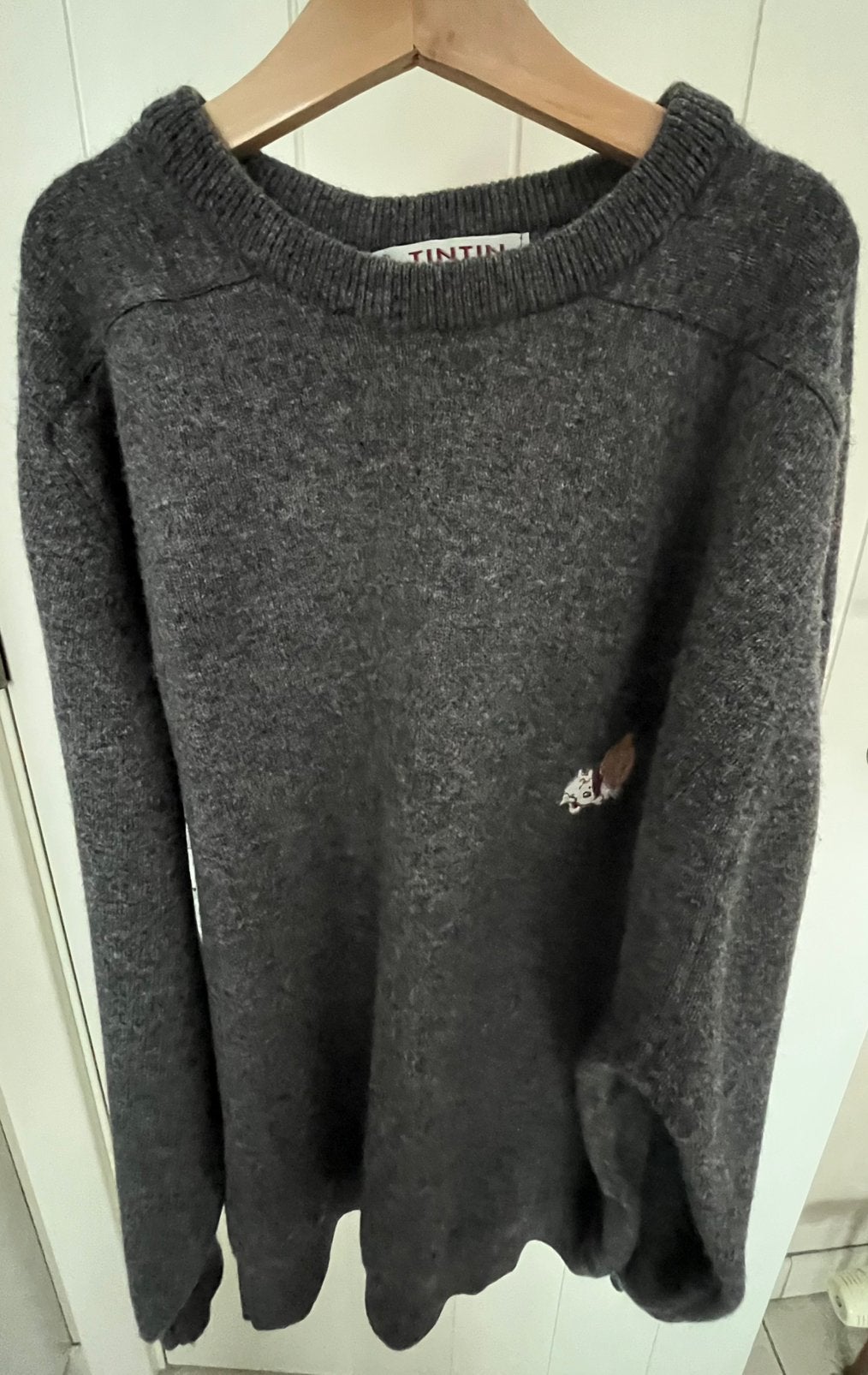 Pull tintin maat M, Kleding | Heren, Ophalen of Verzenden, Zo goed als nieuw, Maat 48/50 (M)