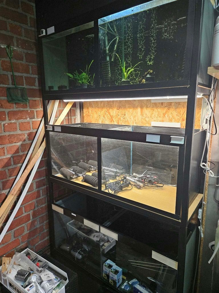 Complete 3-laags Aquarium Kweekstelling (100x40x40), Dieren en Toebehoren, Ophalen, Overige typen, Overige merken, Zo goed als nieuw