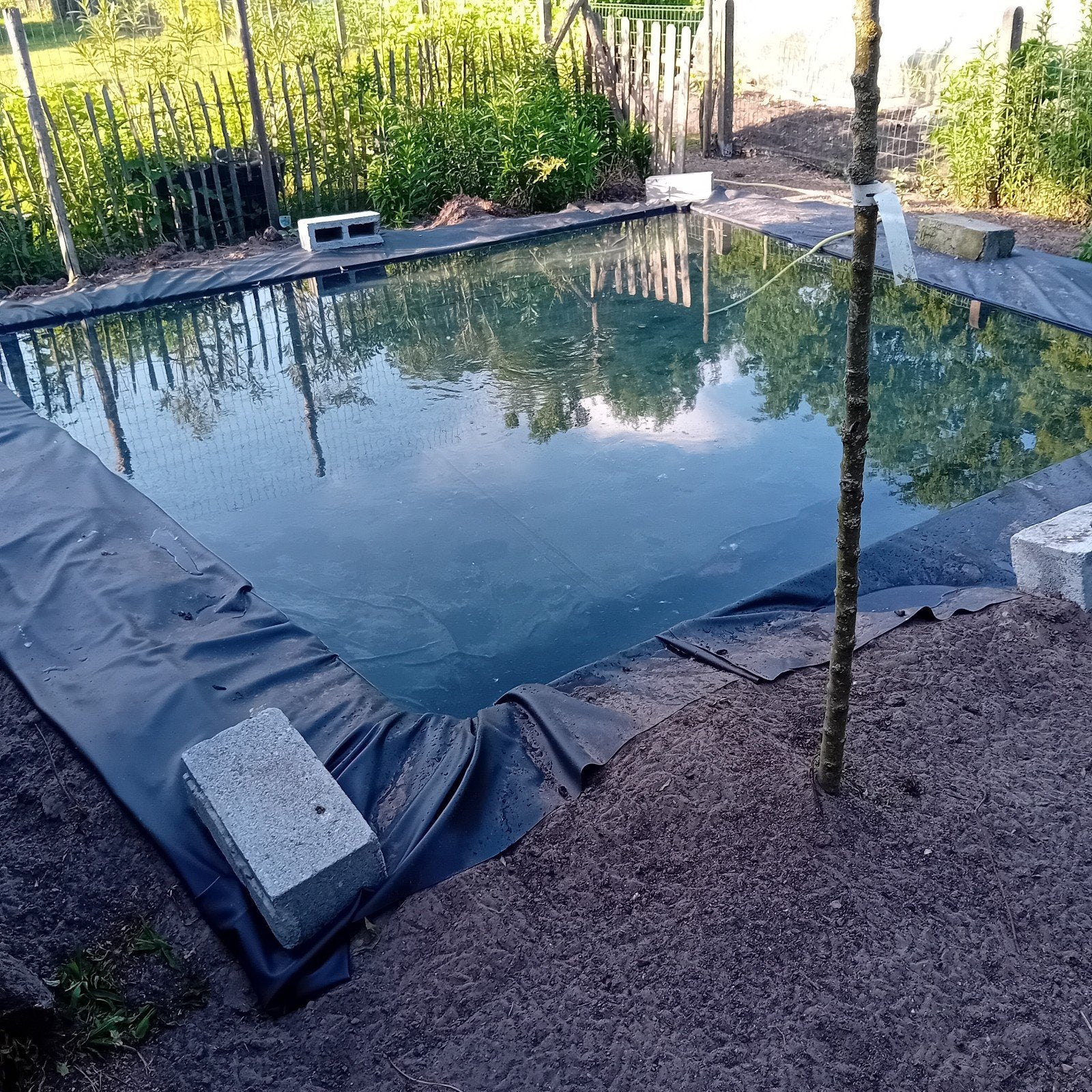 Vijverplanten gezocht, vijvertje is leeg, Ophalen