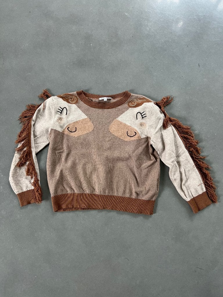 leuk paardentruitje met manen, Kinderen en Baby's, Kinderkleding | Maat 122, Gebruikt, Meisje, Trui of Vest, Ophalen of Verzenden
