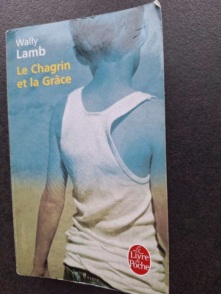 Le chagrin et la grâce - Wally Lamb, Enlèvement, Amérique, Utilisé, Wally Lamb