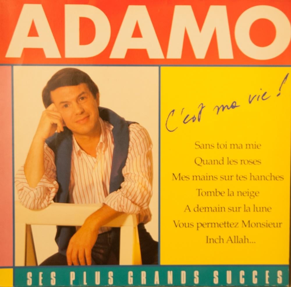 LP Adamo C,est Ma Vie_1989, Enlèvement, Comme neuf, 12 pouces