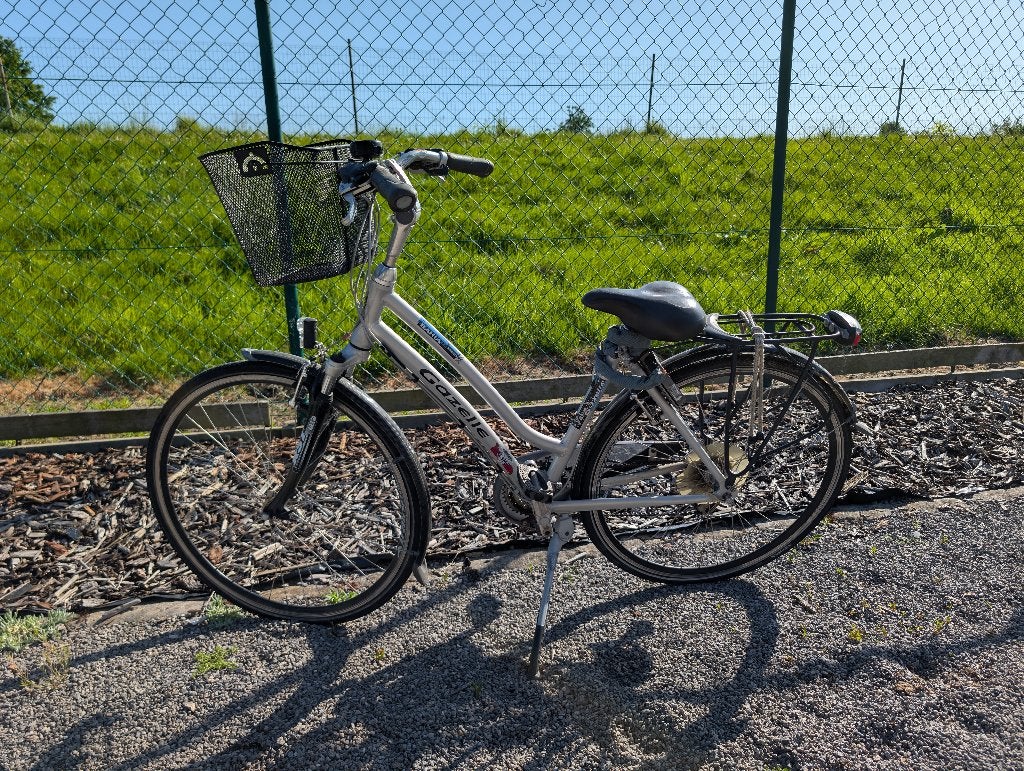 Gazelle Bahia damesfiets (ideaal voor lengte 160 cm), Vélos & Vélomoteurs, Vélos | Femmes | Vélos pour femme, Utilisé, Gazelle