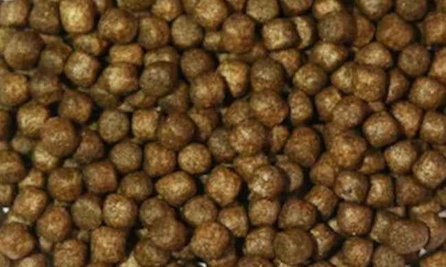 Koivoer Tosai Grower 3mm 15 kilo, Karper of Koi