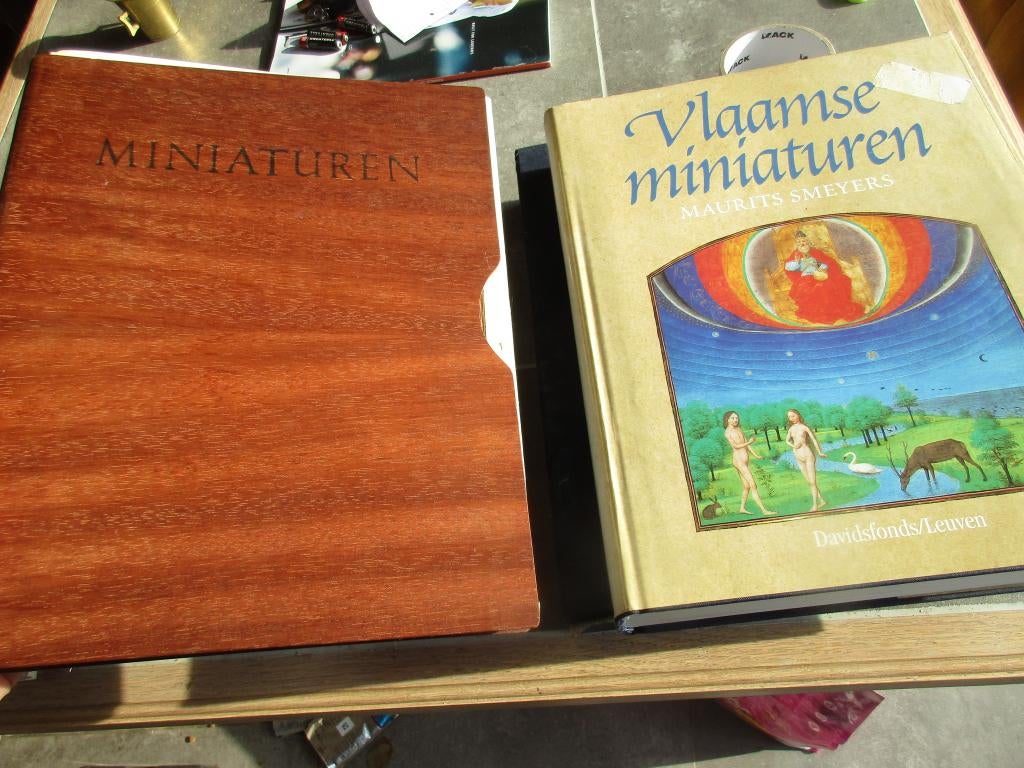 boek over miniaturen, Boeken, Ophalen of Verzenden