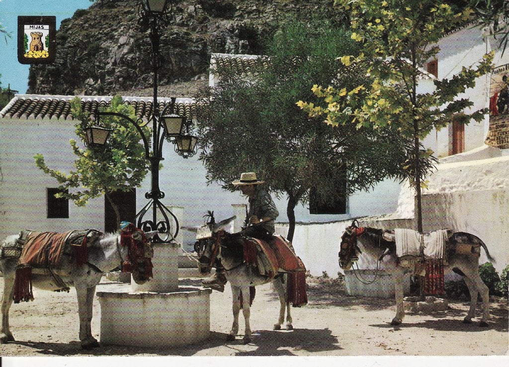 EZELS  OP  PLAZA  ALARCON  in  MIJAS, Verzamelen, Ophalen of Verzenden, Ongelopen, Overige soorten